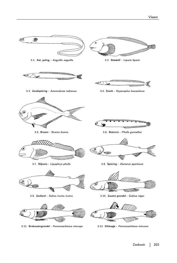 Zeeboek