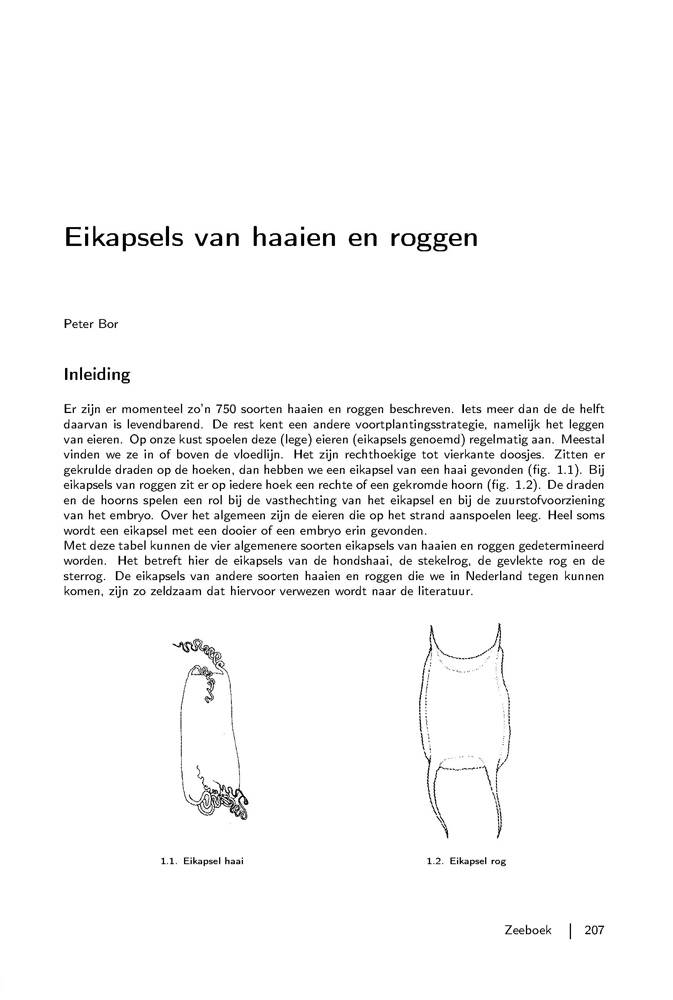 Zeeboek