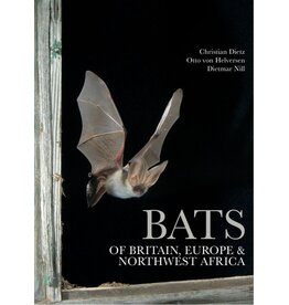 Bats of Britain, Europe and Northwest Africa
