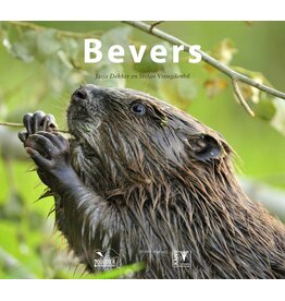 Bevers