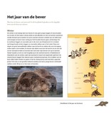 Bevers