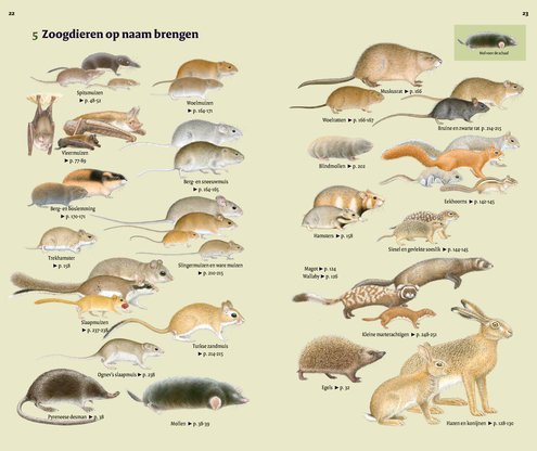 Veldgids Europese zoogdieren