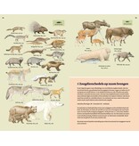 Veldgids Europese zoogdieren