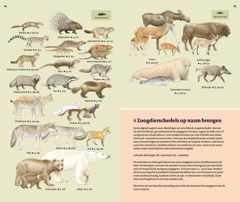 Veldgids Europese zoogdieren