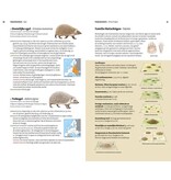 Veldgids Europese zoogdieren
