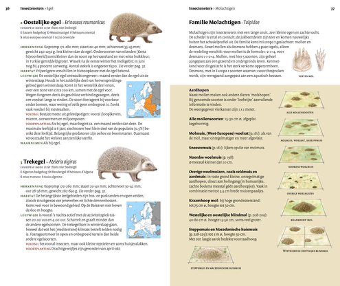 Veldgids Europese zoogdieren