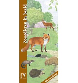 Zoogdieren in beeld