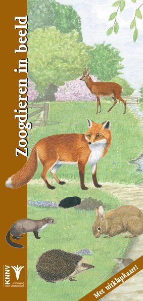 Zoogdieren in beeld