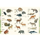 Zoogdieren in beeld