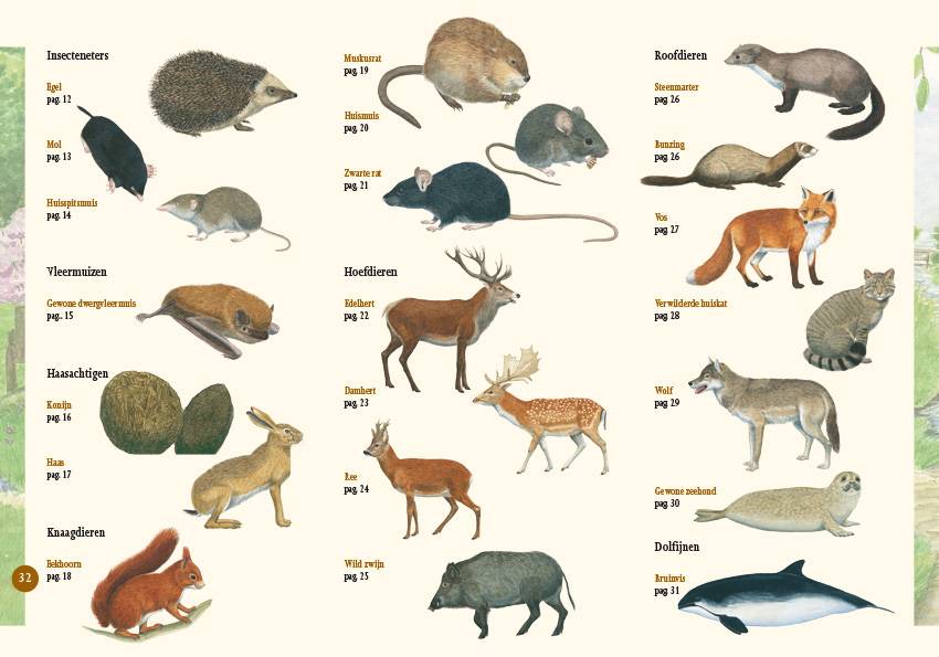 Zoogdieren in beeld