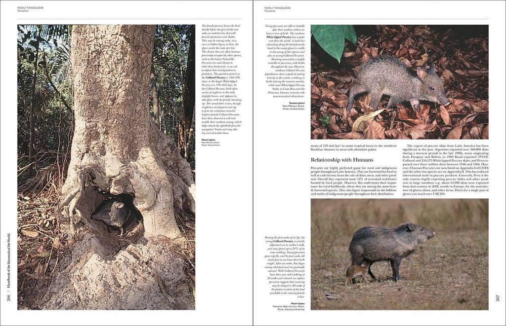 Handbook of the mammals of the world - volume 2