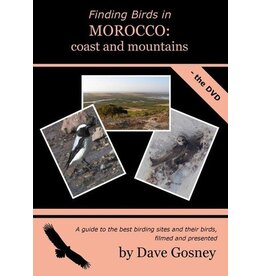 Finding birds in Morocco: coast and mountains DVD