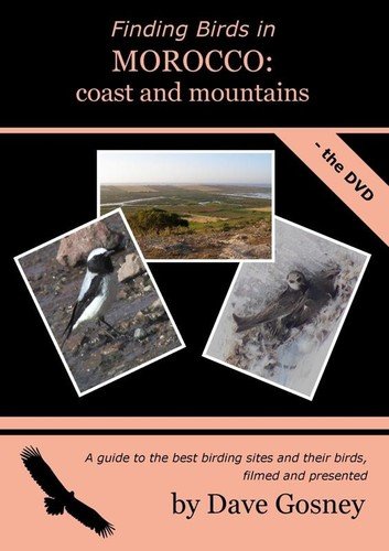 Finding birds in Morocco: coast and mountains DVD