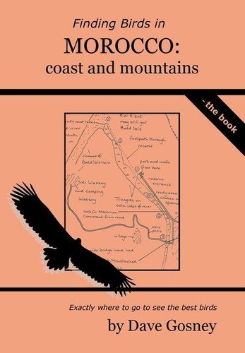 Finding birds in Morocco: coast and mountains