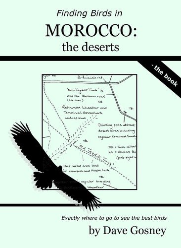 Finding birds in Morocco: the deserts