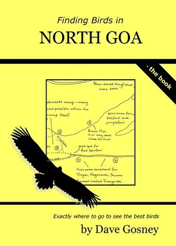 Finding birds in North Goa