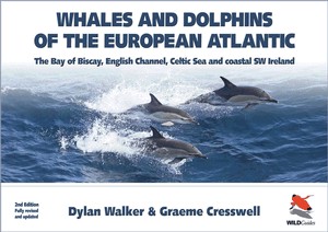 Whales and Dolphins of the European Atlantic