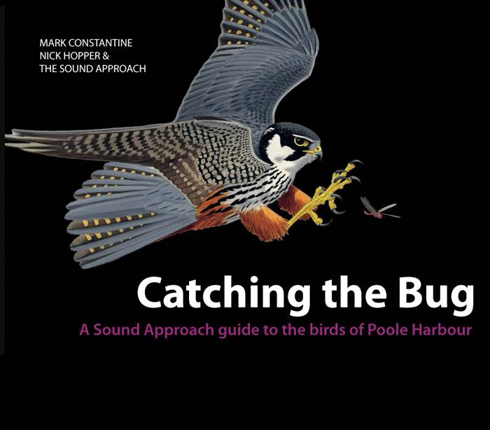 Catching the Bug