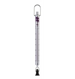 Pesola Medio Line Spring Scale 600 gram