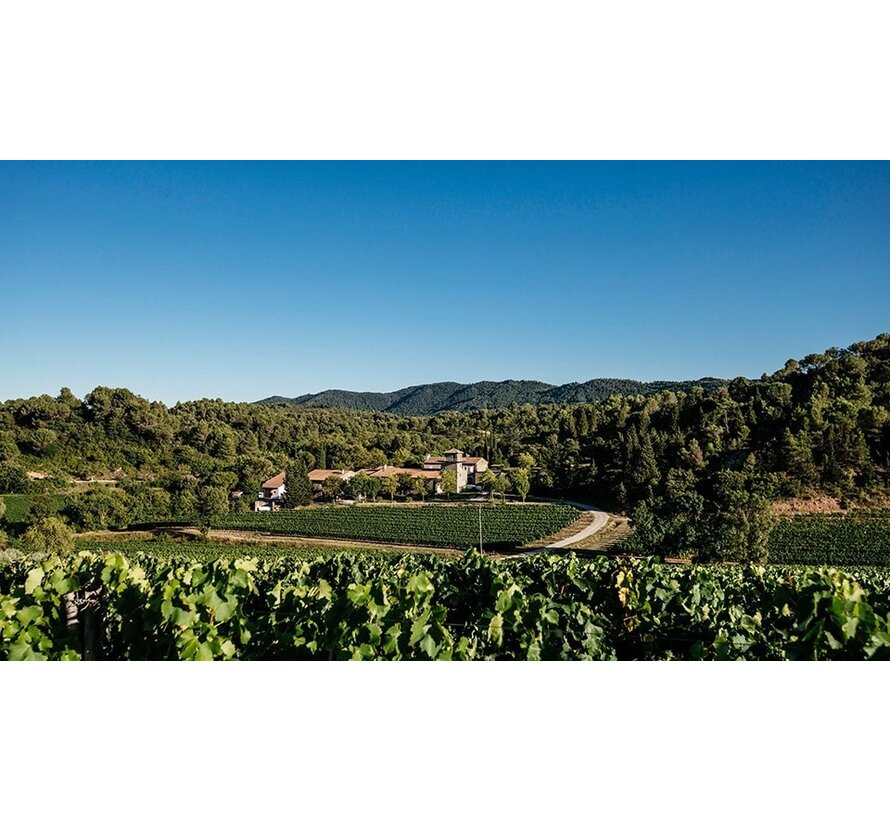 Minervois Syrah Frankrijk + wijntas