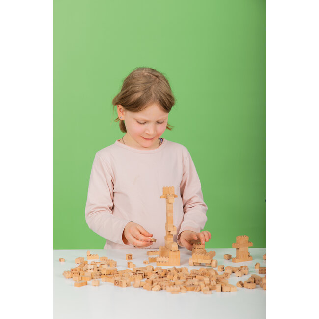 Briques de construction en bois massif FabBrix 300 pieces