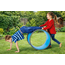 Gonge Roue de motricité enfant -  Body Wheel roue d'équilibre