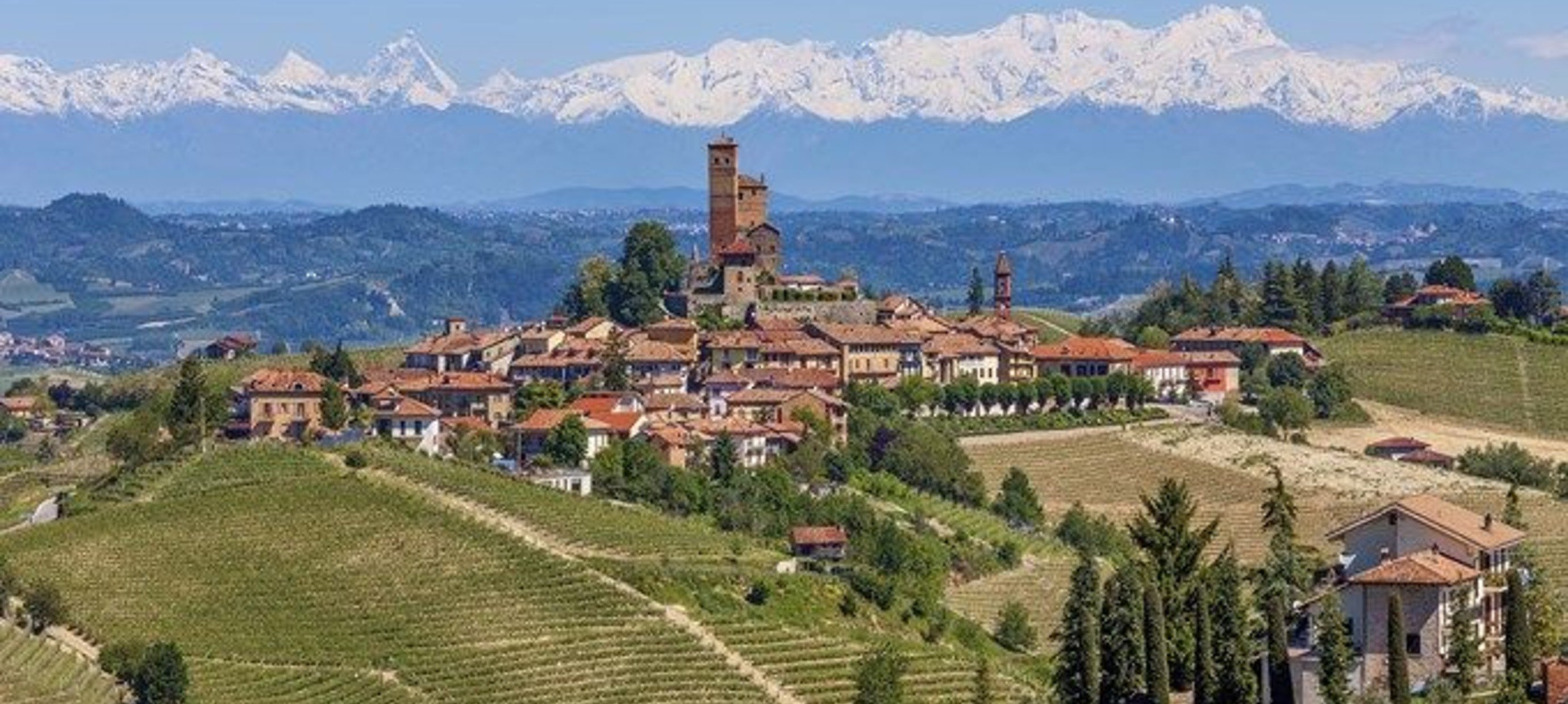 Noord-Itaië produceert de helft van de totale Italiaanse wijnproductie.