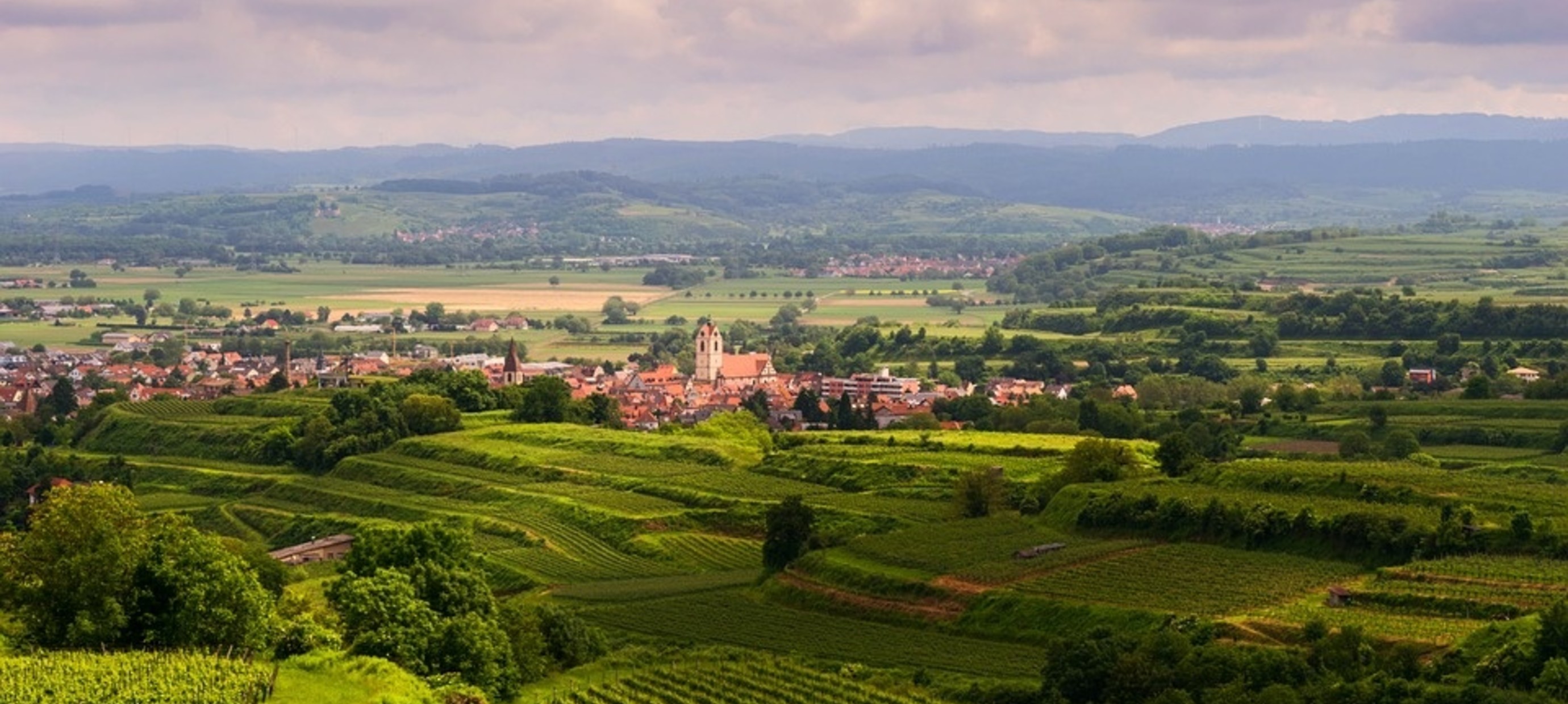 4 bestemmingen voor jouw perfecte wijnvakantie