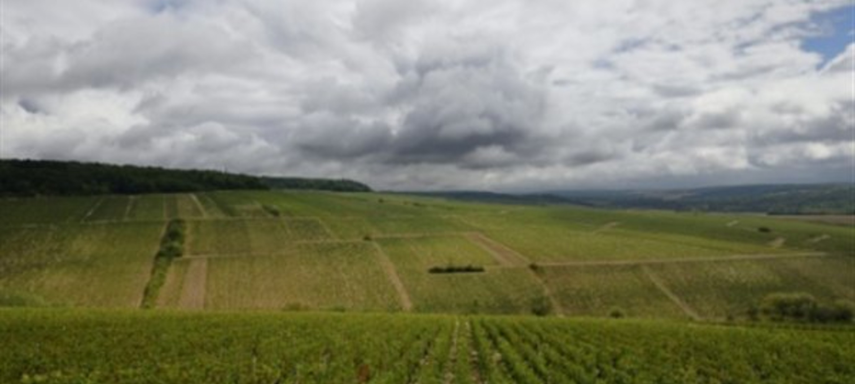 Hagel treft Chablis