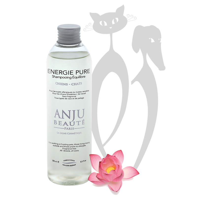 Anju Beauté Energie Pure shampoo