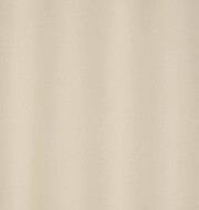 Omega 140 - Lace