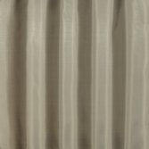 Base 150 - Biscuit Champagne