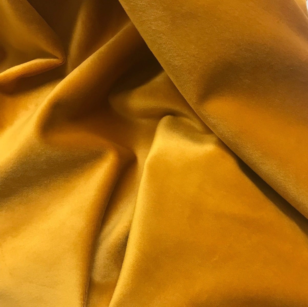 Velvet 145 - Ochre | volle rol