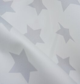 Big Stars 280 - Silver | restant 6,15 meter