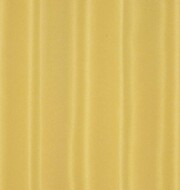 Taft 300 - Daffodil