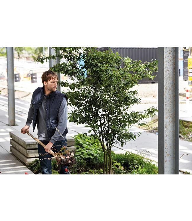 Santino UITVERKOOP; Bodywarmer - BOB