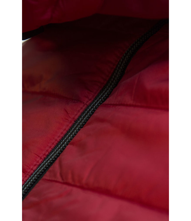 Printer Lichte heren bodywarmer in 2 materialen, licht gewatteerd - BANDIDO