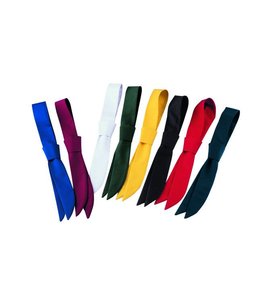 Leiber UITVERKOOP; Service stropdassen - WILGO