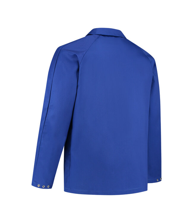 BASIC UITVERKOOP; werkjaskort   - FOGGIA