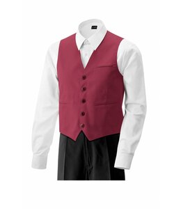 Exner UITVERKOOP; Heren gilet in kleuren, 30ºC wasbaar - ARIZONA