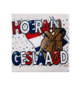 Geslaagd hoera! tablet