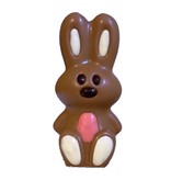 Chocolade Geboorte Konijn – Melkchocolade Figuur in Roze, Blauw of Groen
