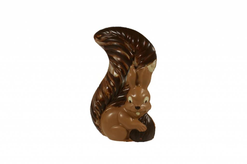 Eekhoorn van chocolade