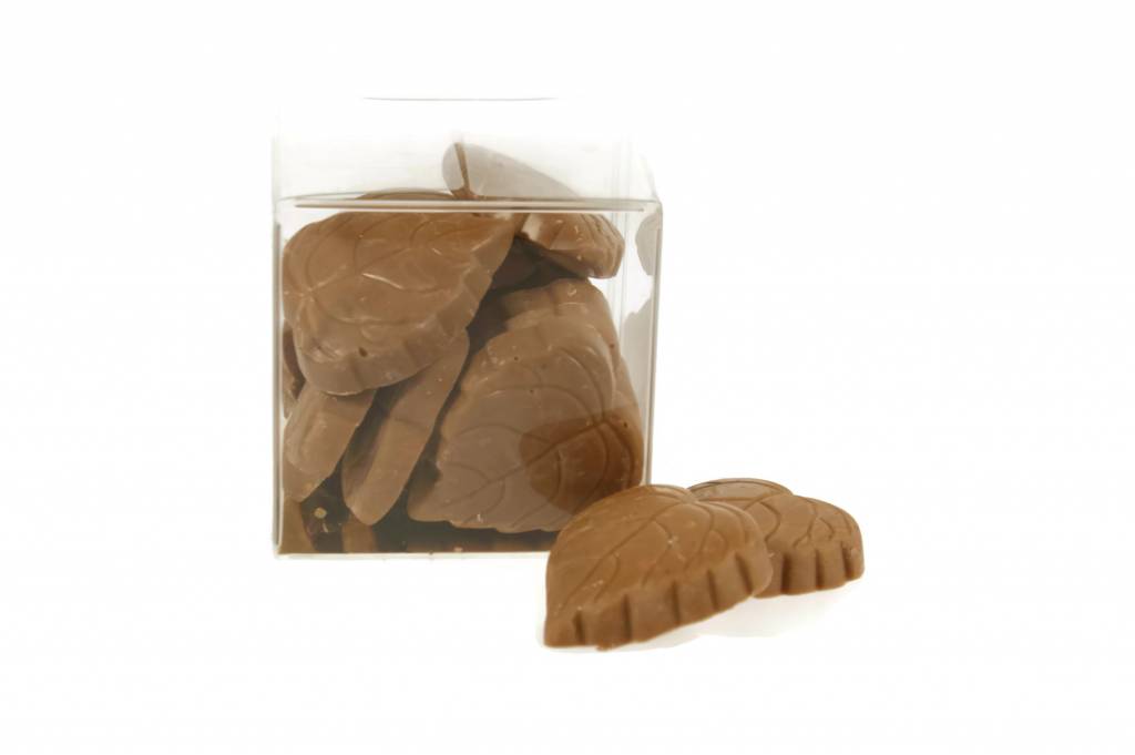 Chocolade Herfstblaadjes – Ambachtelijk & Krokant Gekarameliseerde hazelnoten