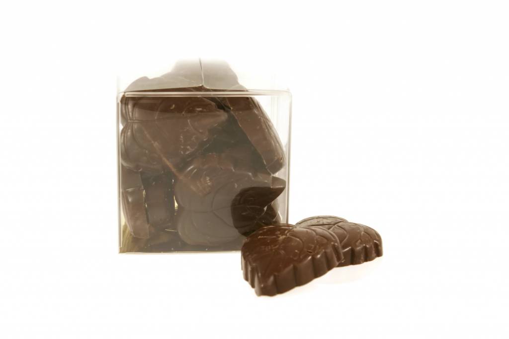 Chocolade Herfstblaadjes – Ambachtelijk & Krokant Gekarameliseerde hazelnoten