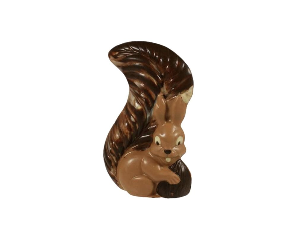 Chocolade Eekhoorn