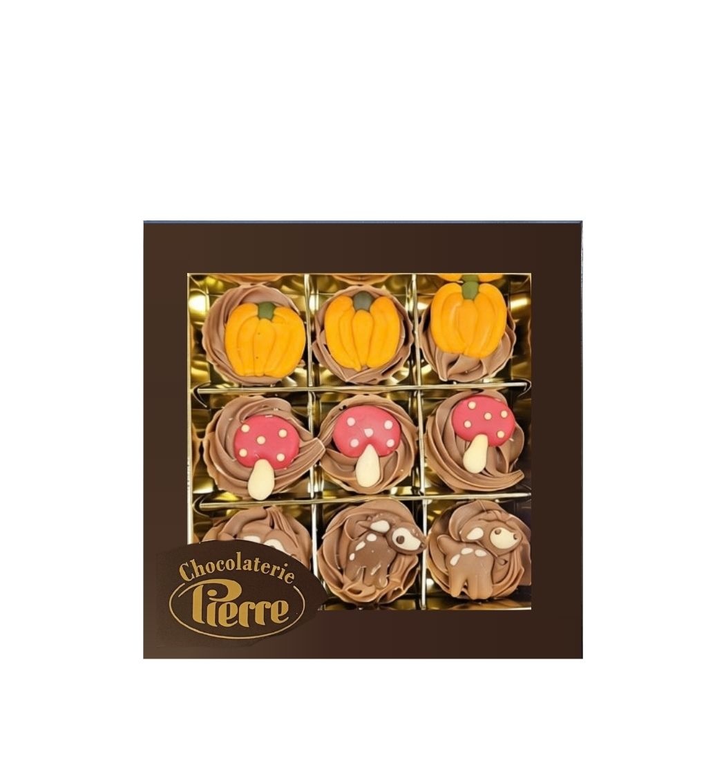 Seizoenstopper Herfst – 9 Ambachtelijke Herfstbonbons in Luxe Cadeaubox