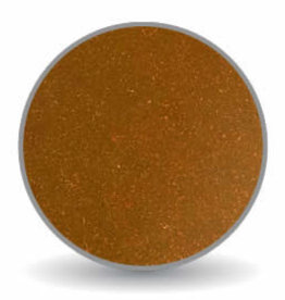 Canion Bronze