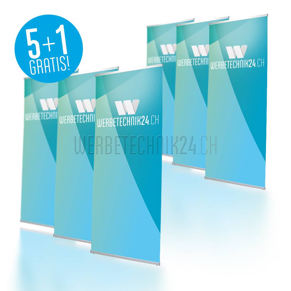 L-Banner Classic 80x200cm Megapack 6 Stk.