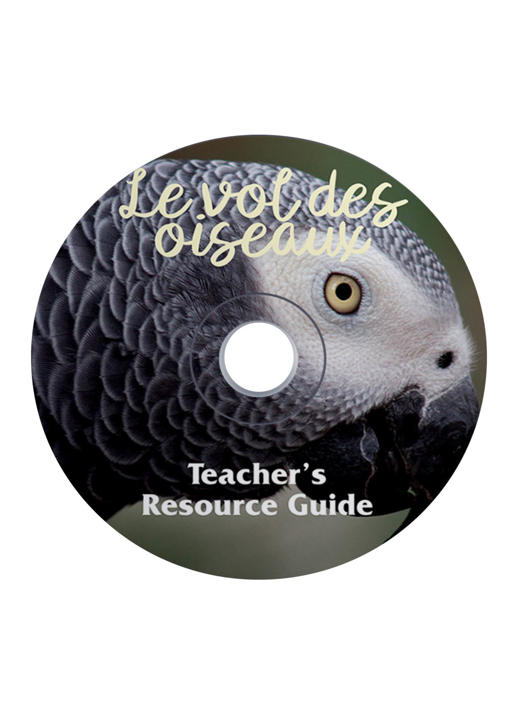 Le vol des oiseaux - Teacher's Guide